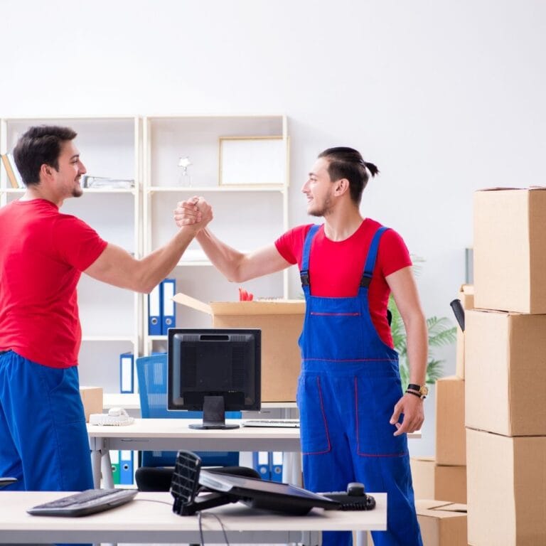 mutari sector 4 in aceeasi zi