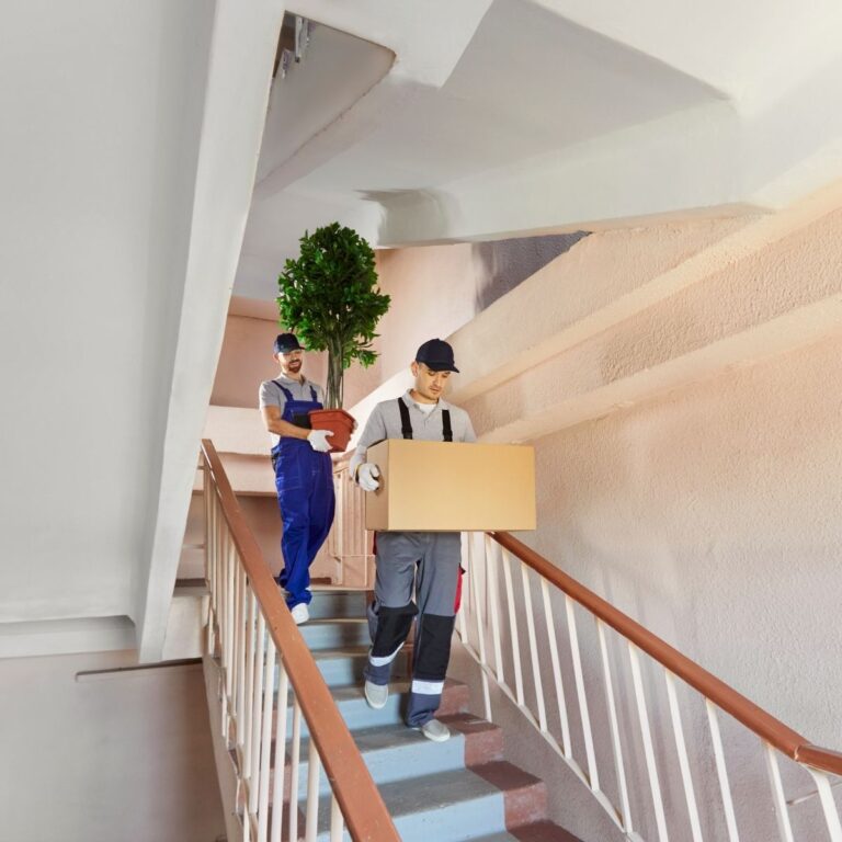 carat pe scari sector 2