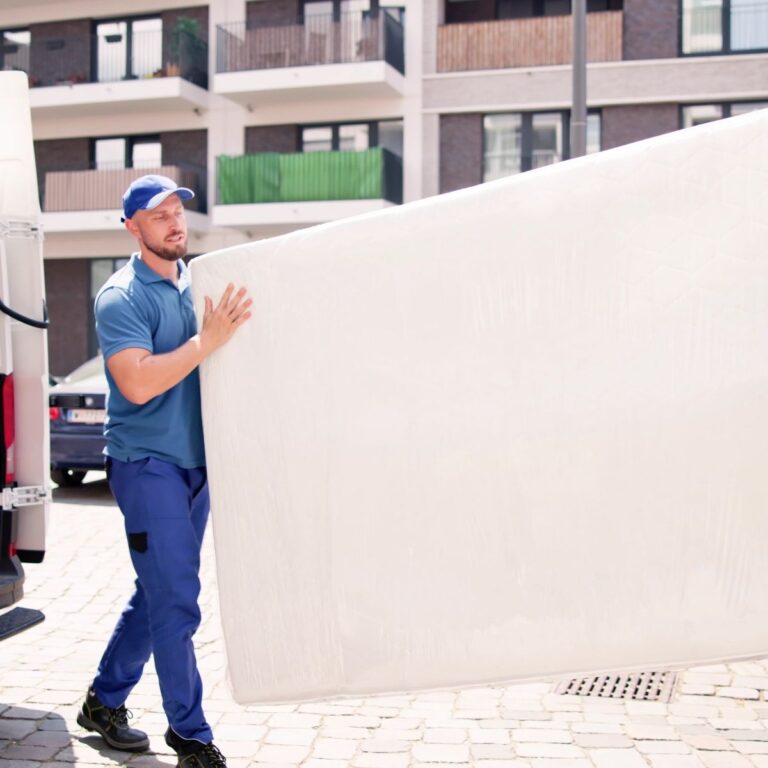 transport mutari carat saltele