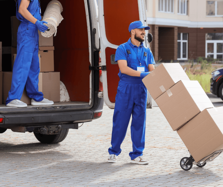 mutari nationale